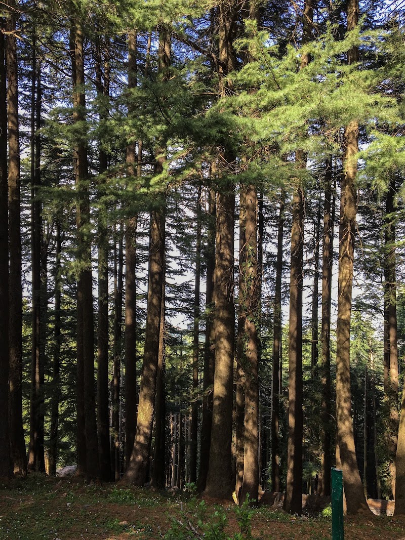 Forest Rest House - Forest Rest House Kalatop, Himachal Pradesh 176304, India