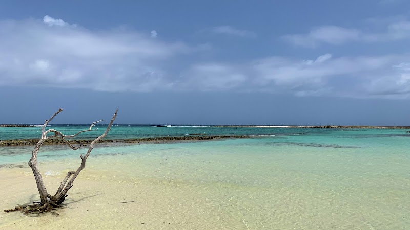 Baby Beach - Baby Beach, San Nicolas, Aruba
