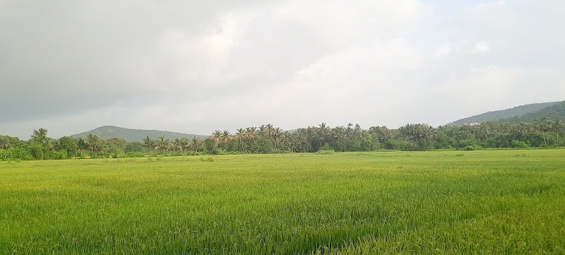 Osia Cupid Heaven - Osia Cupid heaven Bldg, Arlem, Raia, Santemol, Goa 403602, India