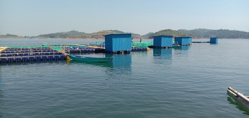 Padinjarathara - Padinjarathara, Keralam, India
