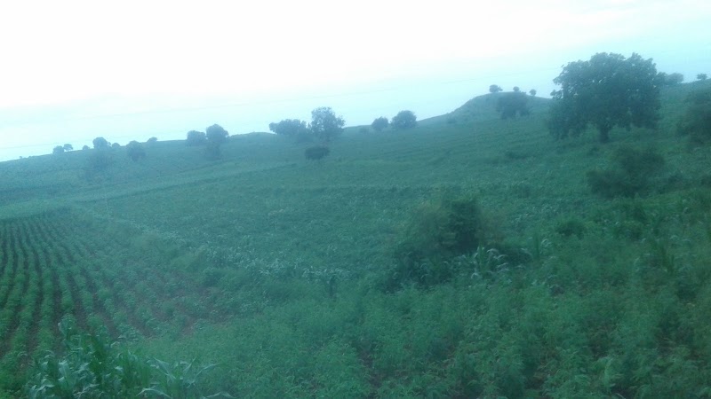 Tukaithad - Tukaithad, Madhya Pradesh 450332, India
