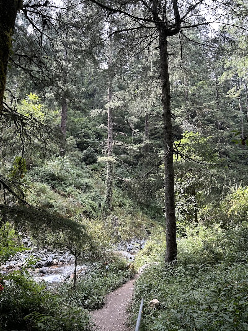 Kulhi Katandi (Jibhi) - Kulhi Katandi (Jibhi) H9M5+VC, Rashala, Himachal Pradesh 175123, India