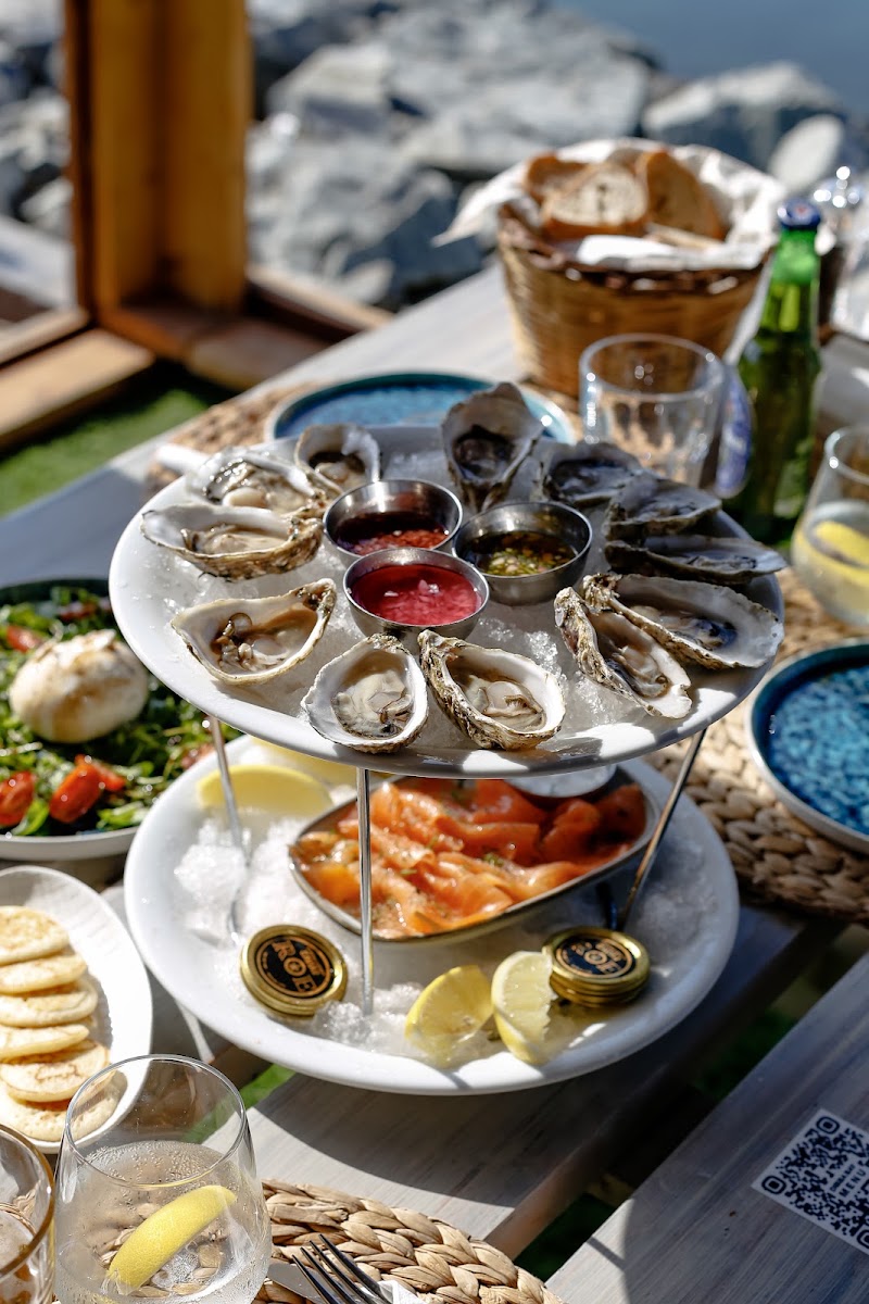 Dibba Bay Oysters - Dibba Bay Oysters Fishing Harbour 2 - أم سقيم الأولى - ام سقيم 1 - دبي - United Arab Emirates