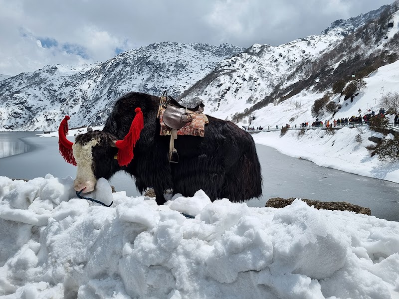 TSOMGO LAKE VIEW POINT - TSOMGO LAKE VIEW POINT, 9QHC+884, Jawaharlal Nehru Rd, Sikkim 737102, India