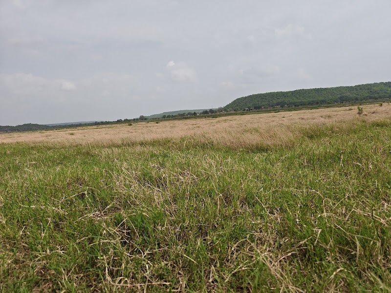 Chikhali - Chikhali, HC27+HC, Chikhli, Chhattisgarh 494337, India
