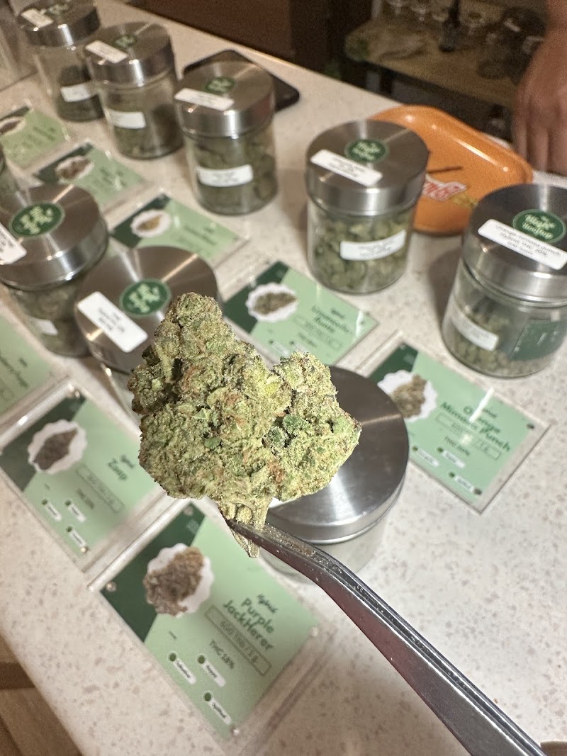 The High Rooftop Cannabis Dispensary & Weed Shop - The High Rooftop Cannabis Dispensary & Weed Shop, Surawong Rd, Khwaeng Si Phraya, Khet Bang Rak, Krung Thep Maha Nakhon 10500, Thailand