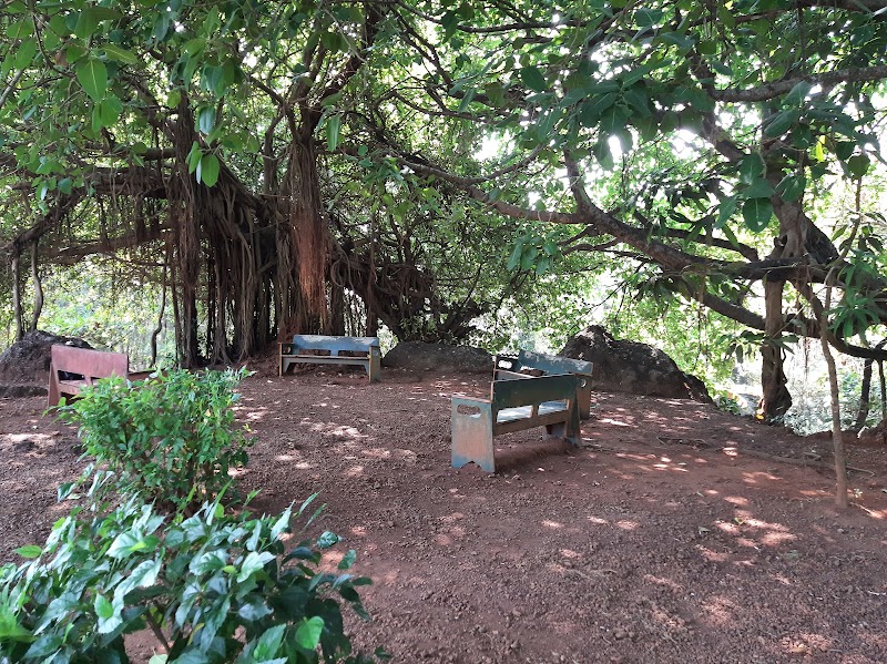Mandrem garden - Mandrem garden 123, Querim–Arambol–Agarwada Rd, Junos Vaddo, Mandrem, Goa 403527, India