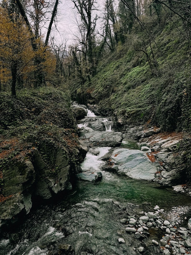 Gorge - Gorge, V75Q+PP, Lagodekhi, Georgia