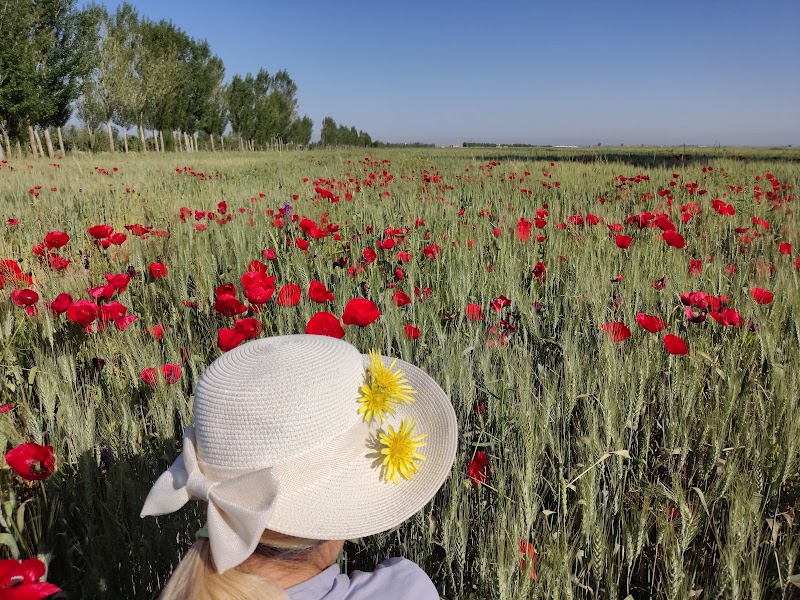 Ardabil - Ardabil Province, Iran