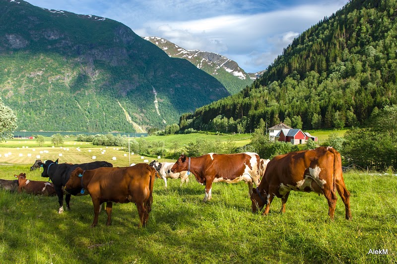 Fjærland - Fjærland Fjærland, Norway