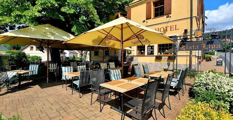 Golden Linden Spa Hotel - Golden Linden Spa Hotel, Svatopluka Čecha 57, Jalůvčí, 405 02 Děčín-Děčín 2, Czechia