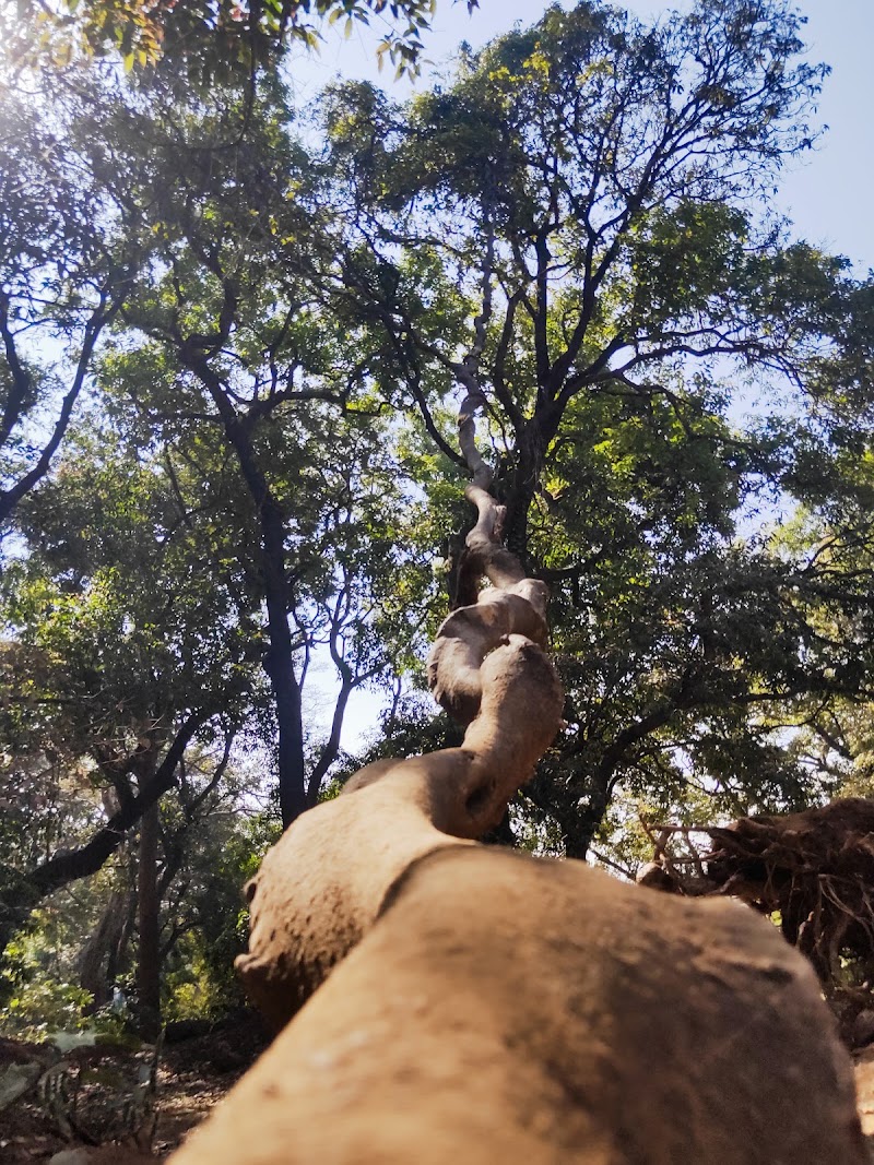 Ryewood Garden - Ryewood Garden PCX2+PX4, Hudco Colony, Lonavala, Maharashtra 410401, India