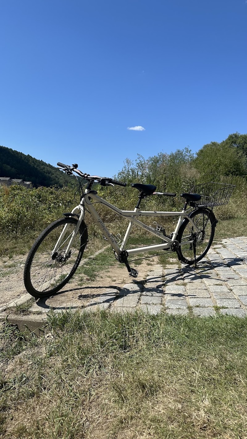 Active Point Děčín - Active Point Děčín, Labské nábř. 1716/33, 405 02 Děčín-Děčín 2, Czechia