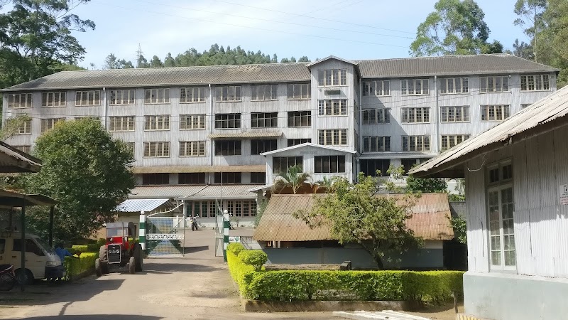St. Clair Estate - Tea Factory - St. Clair Estate - Tea Factory, A7, Talawakelle, Sri Lanka