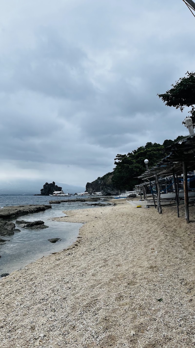Rock west beach - Rock west beach, 37F9+8FF, Habagat Eco Trail, Apo Island, Dauin, Negros Oriental, Philippines