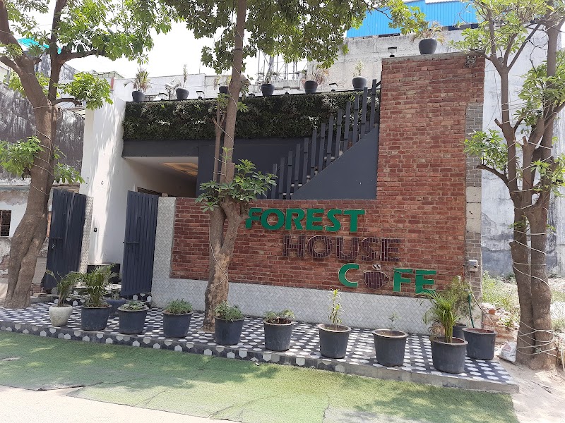 Forest House Cafe - Forest House Cafe Plot no 32, 8, Pocket C, Sector 17 Dwarka, Dwarka, New Delhi, Delhi, 110078, India