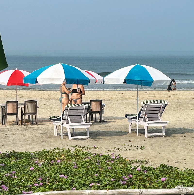 Pacha De Arambol - Pacha De Arambol, Arambol Beach, Arambol, Goa 403524, India