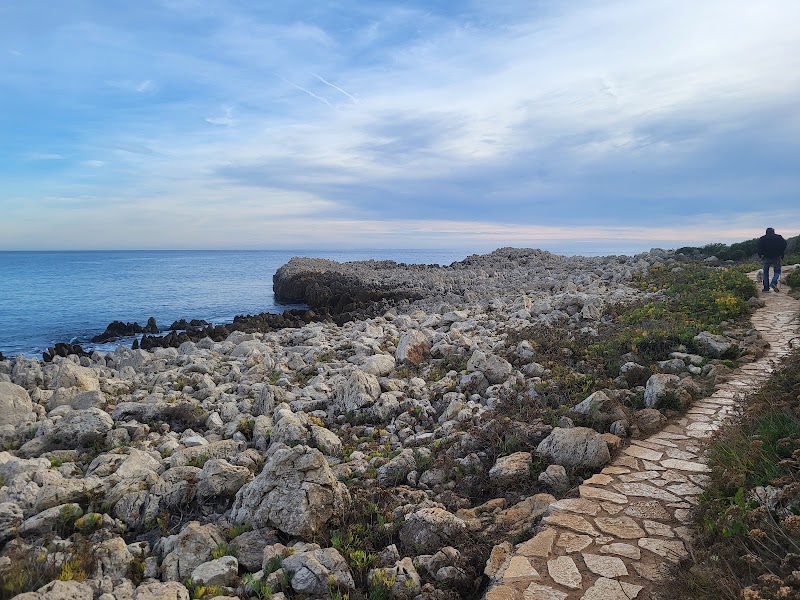 La Garoupe - La Garoupe La Garoupe, Antibes, France