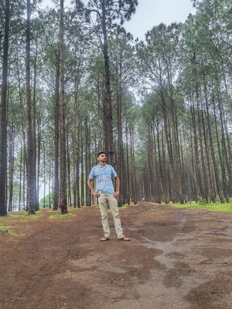 NETARHAT SUNRISE VIEW POINT - NETARHAT SUNRISE VIEW POINT F7PH+R4G, Netarhat, Jharkhand 835218, India