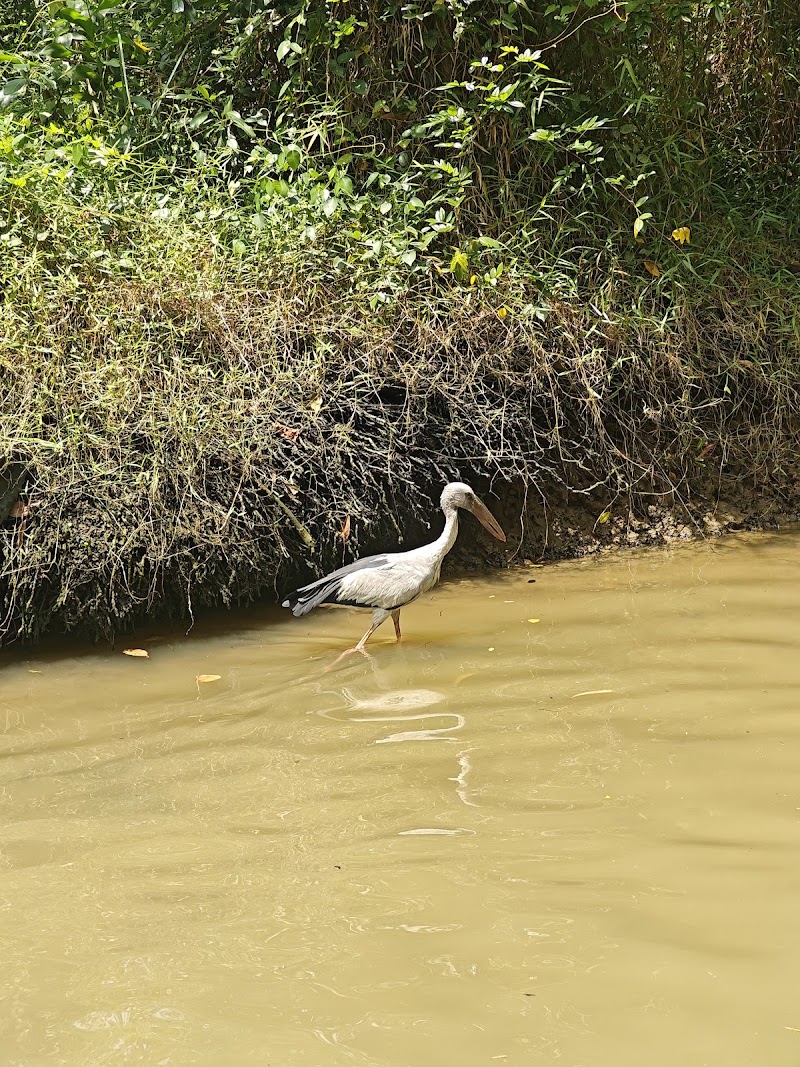 Poovar boat tour - Poovar boat tour Ucchakkada p. o, Attupuram, Chalakkara - Poovar Rd, Kulathoor, Kerala 695525, India