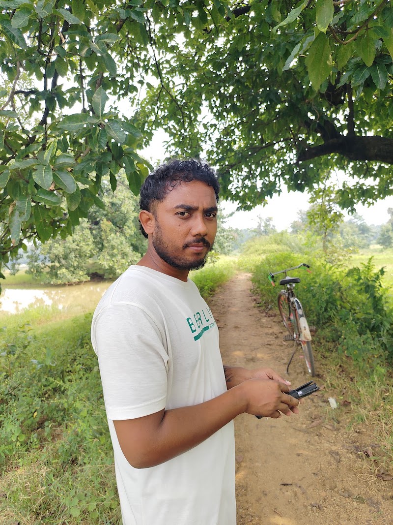 BL FRUIT SHOP - BL Fruit Shop, Railway, Station Road, Purani Basti, Jharsuguda, Odisha 768201, India