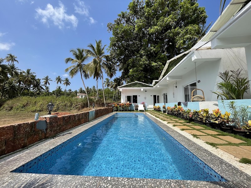 White Flower - Resort Near Morjim Beach