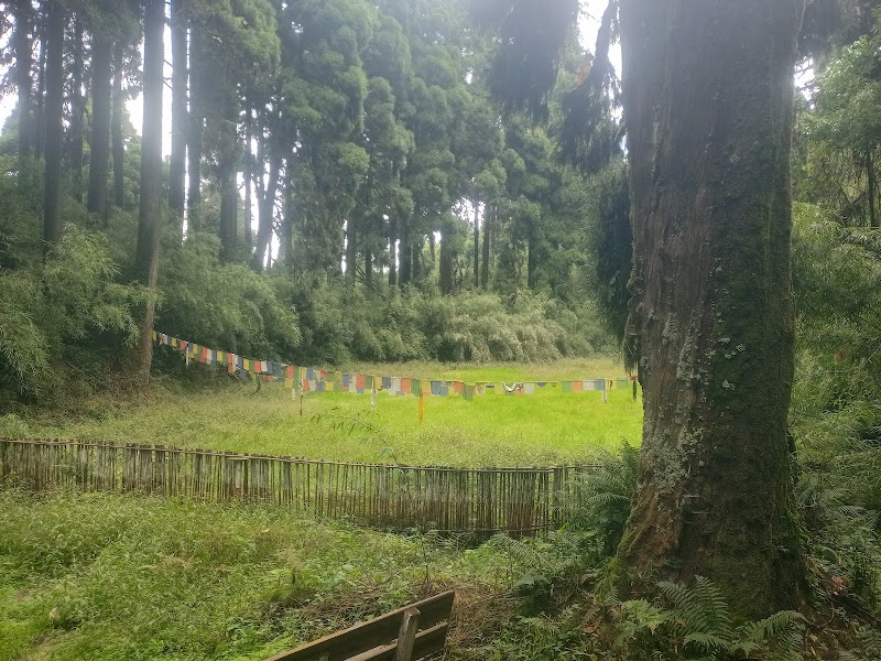Lepchajagat Pine View - Lepchajagat Pine View 257W+4VG, Rishi Rd, Ghoom Pahar Forest, West Bengal 734221, India