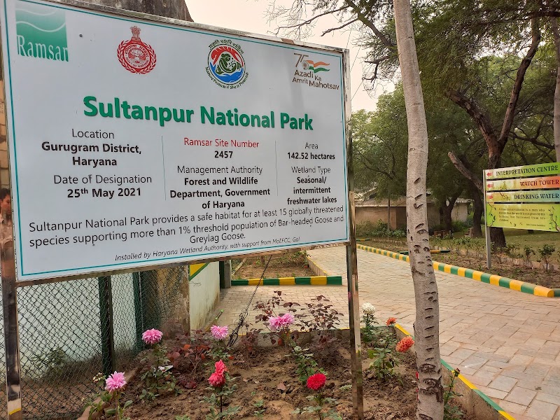 Sultanpur National Park - Sultanpur National Park National Park, Gurgaon - Farukhnagar Rd, Sultanpur, Gurugram, Haryana 122006, India