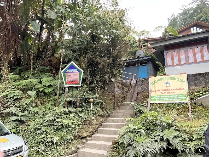 Malinggo Homestay - Malinggo Homestay Gangtok, Sikkim 737135, India