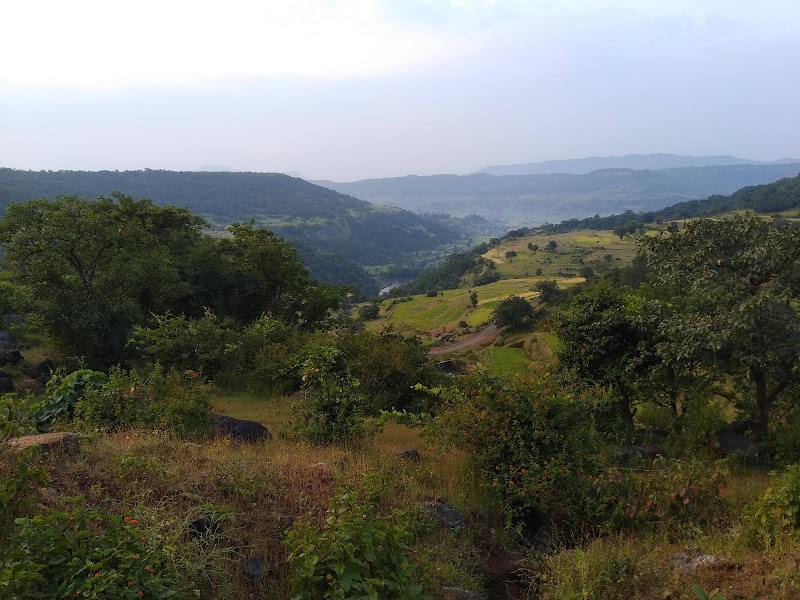 Bhimashankar Forest Reserve - Bhimashankar Forest Reserve, 3G8J+6RQ, Bhimashankar, Maharashtra 410509, India
