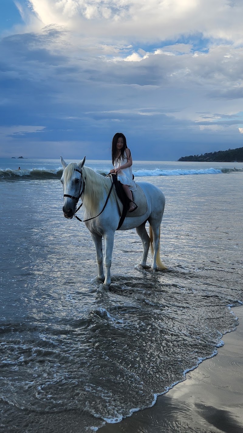 Layan Beach - Layan Beach, 27GQ+PQ, Bang Tao Beach, Choeng Thale, Thalang District, Phuket 83110, Thailand