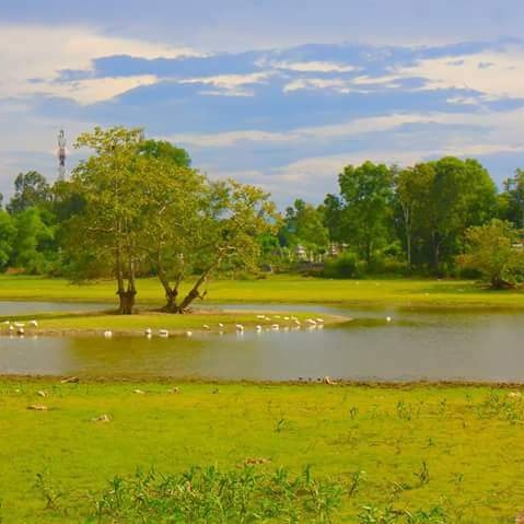 Cam Kim Island - Cam Kim Island, Chậu Cây Cảnh Phân Đất Vi Sinh, thôn 1, Hội An, Đà Nẵng, Vietnam
