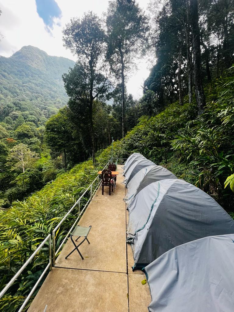 Zeno Village 900 Kandi Wayanad - Zeno Village 900 Kandi Wayanad Meppadi, Vellarimala, Kerala 673577, India