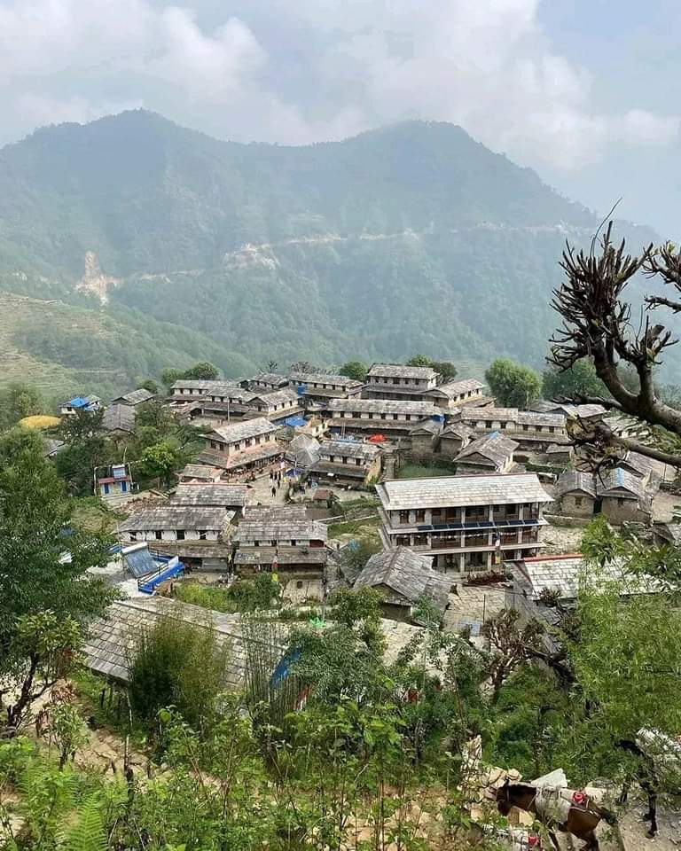 Phedi - Phedi, Nepal