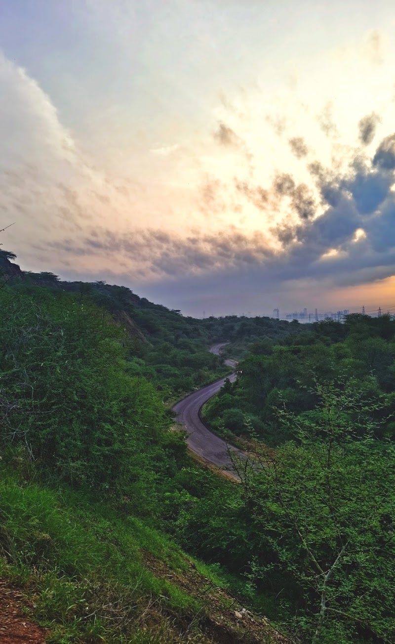 Aravalli Hills