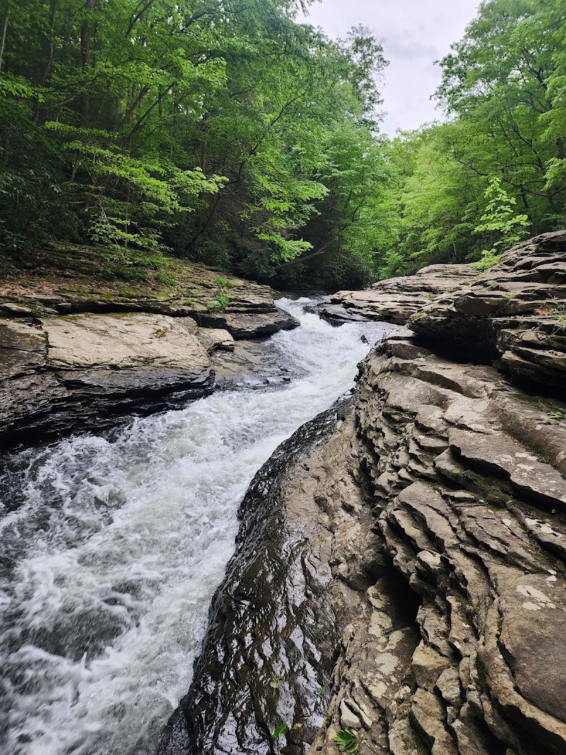 Ohiopyle State Park - Ohiopyle State Park, 124 Main St, Ohiopyle, PA 15470, USA