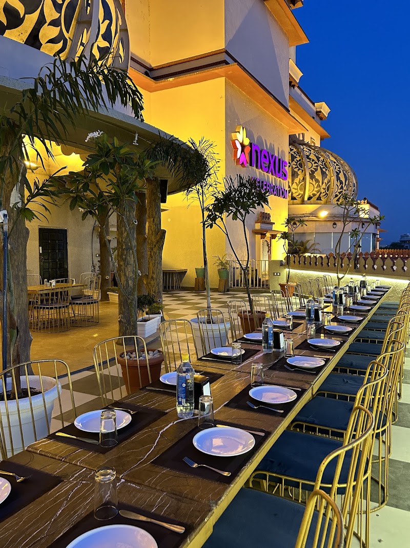 Jaipur Jungle