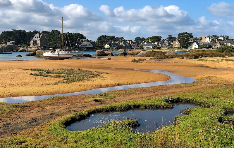 Île Renote - Île Renote, Trégastel, France