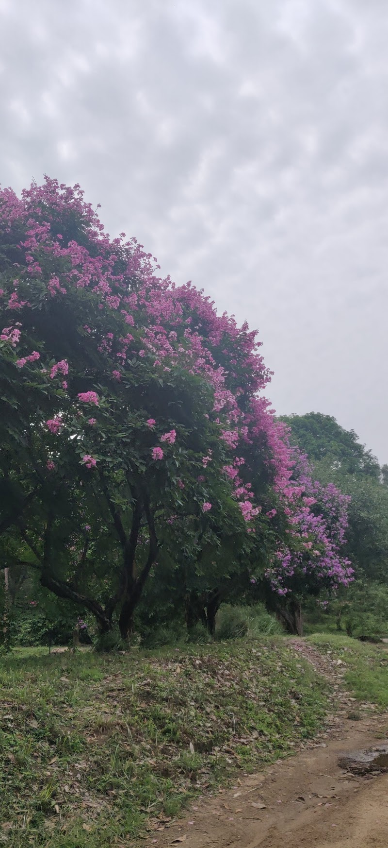 Vaishnavi Estate - Vaishnavi Estate Heggala Rd, Kedamallur, Karnataka 571218, India