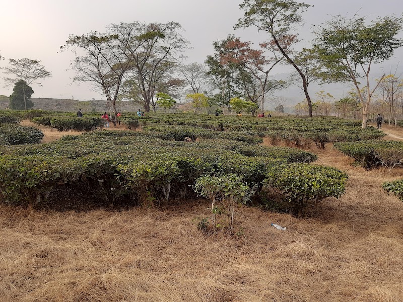 Dooars - Dooars, dhupjhora, batabari, jalpaiguri dooars, RQJV+3MR, Batabari, West Bengal 735206, India