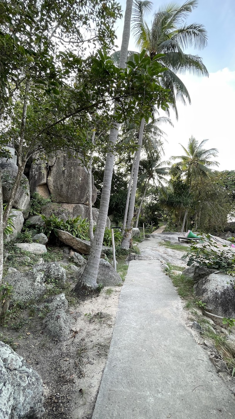 Mae Haad Beach - Mae Haad Beach 3RPF+CVM, Ko Tao, Ko Pha-ngan District, Surat Thani 84360, Thailand