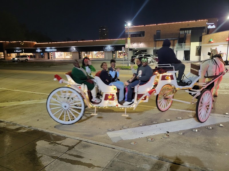 Vintage Carriage Company, LLC - Vintage Carriage Company, LLC 8013 Willow St, Houston, TX 77088, USA
