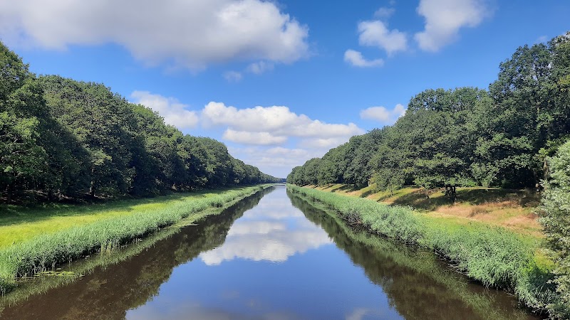 The Loonse and Drunense Duinen National Park - The Loonse and Drunense Duinen National Park, 5151 RG Drunen, Netherlands