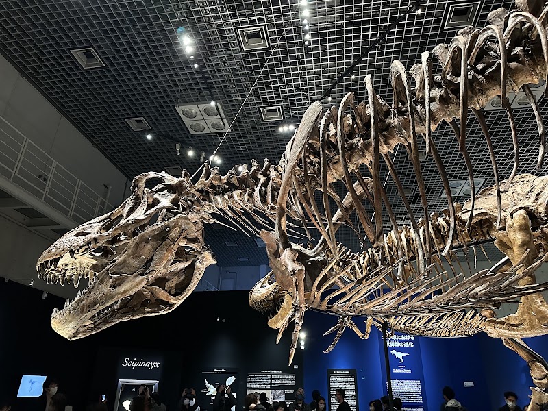 National Museum of Nature and Science - National Museum of Nature and Science 7-20 Uenokōen, Taito City, Tokyo 110-8718, Japan