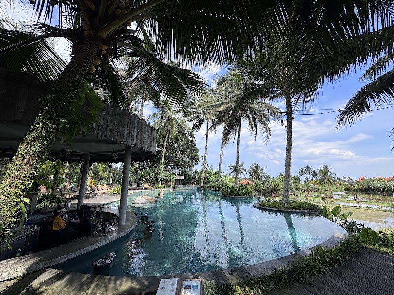 Kelapa Muda Ubud Pool Bar & Kitchen - Kelapa Muda Ubud Pool Bar & Kitchen, Jl. Gn. Sari, Peliatan, Kecamatan Ubud, Kabupaten Gianyar, Bali 80571, Indonesia