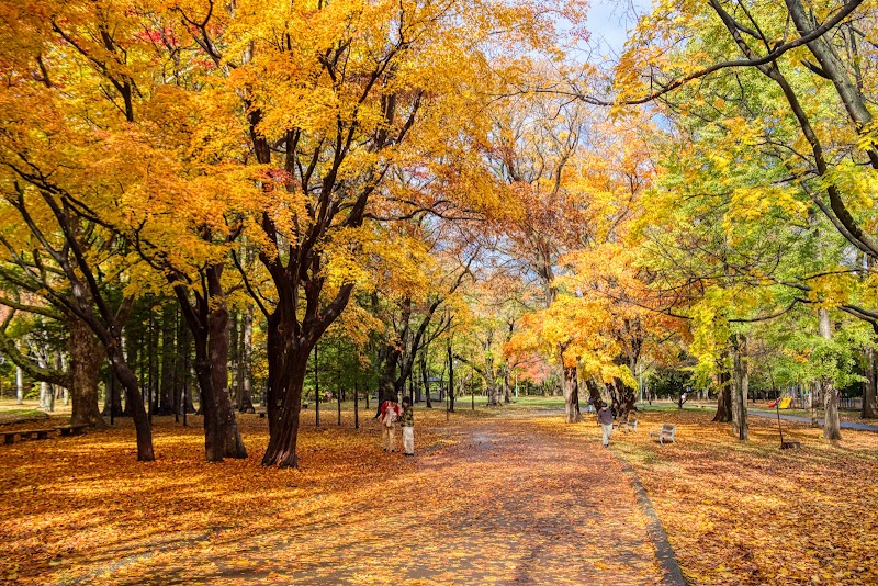 Maruyama Park - Maruyama Park, Japan, 〒064-0959 北海道札幌市中央区宮ケ丘３