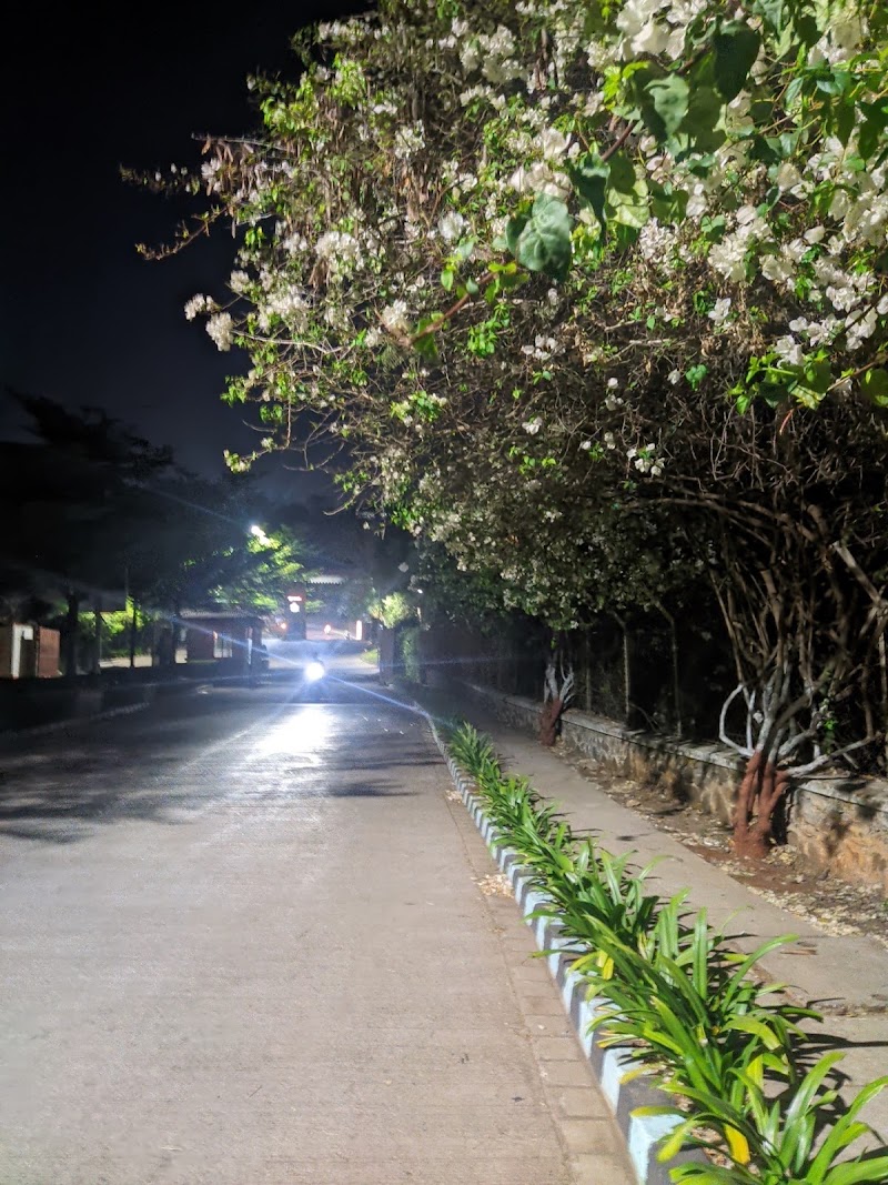 Health Hub! 🛒 - Health Hub! 🛒, Forest Trails Township, Paud Rd, Pune, Bhugaon, Maharashtra 412115, India