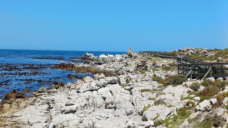 Stony Point Nature Reserve - Stony Point Nature Reserve, 2411 Wallers Rd, Betty's Bay, 7141, South Africa