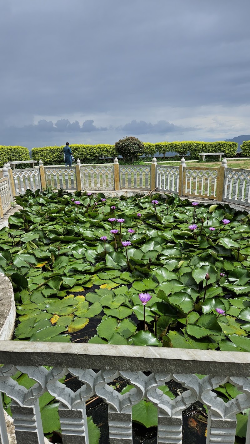 Lotus pond - Lotus pond HJVR+G3C, Kodiyat, Rajasthan 313031, India