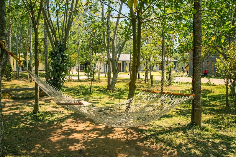 Yellow Lake Resort - Yellow Lake Resort R6CP+2J4, Shevaroys Hills, Manjakuttai, Tamil Nadu 636602, India